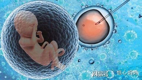 中国供卵代孕中心